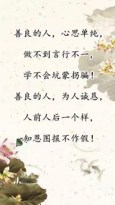 写给善良的你